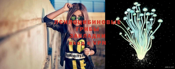 стаф Медногорск