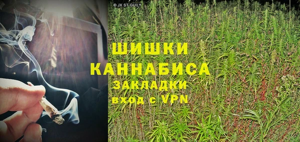 молекула духа Мегион