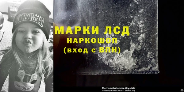 стаф Медногорск