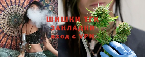 стаф Медногорск