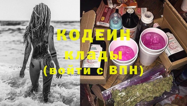 стаф Медногорск