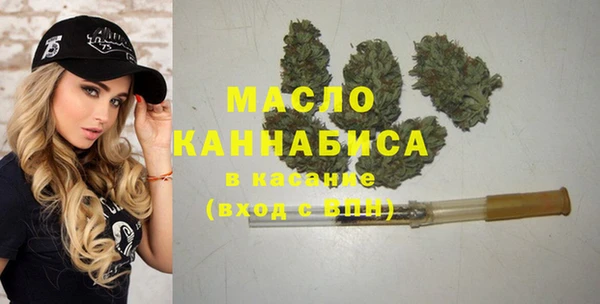 стаф Медногорск