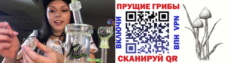 blacksprut маркетплейс  Саров  Галлюциногенные грибы Psilocybine cubensis 